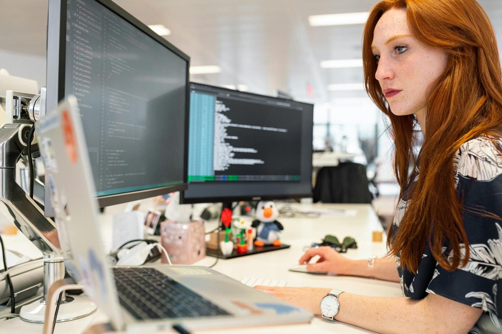 Software Development Office